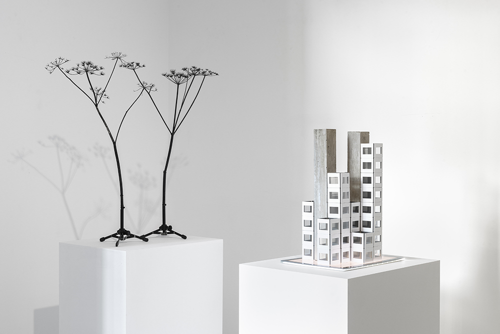 credit Nicolas Brasseur