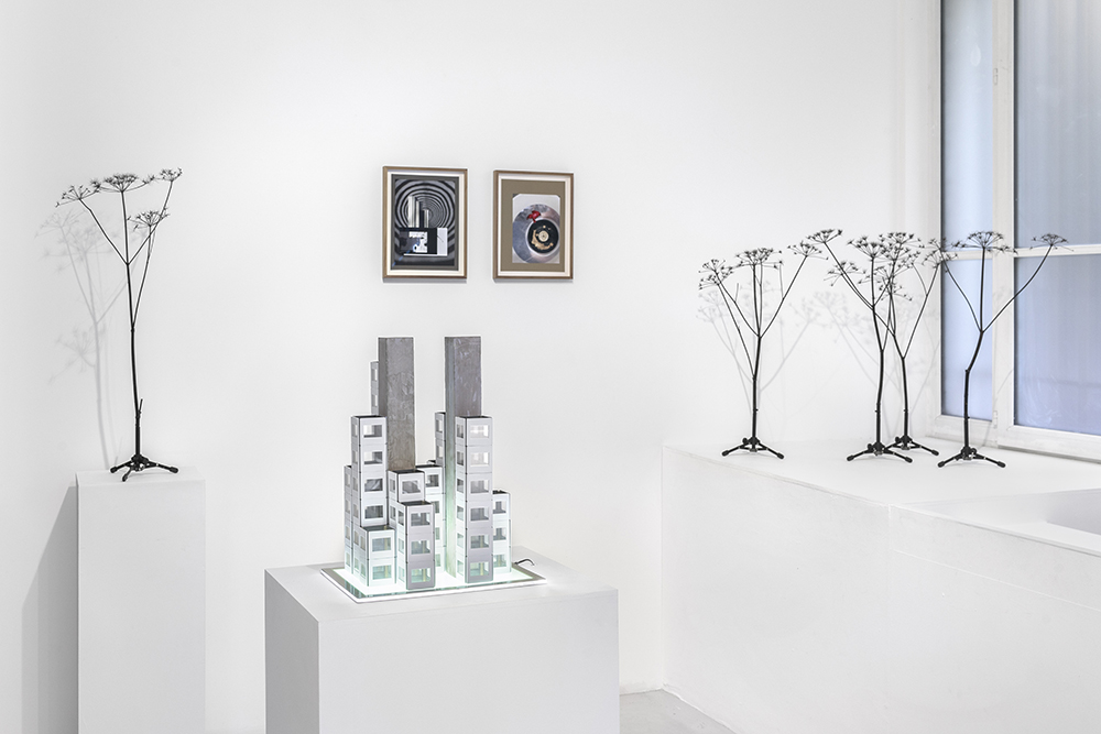 credit Nicolas Brasseur